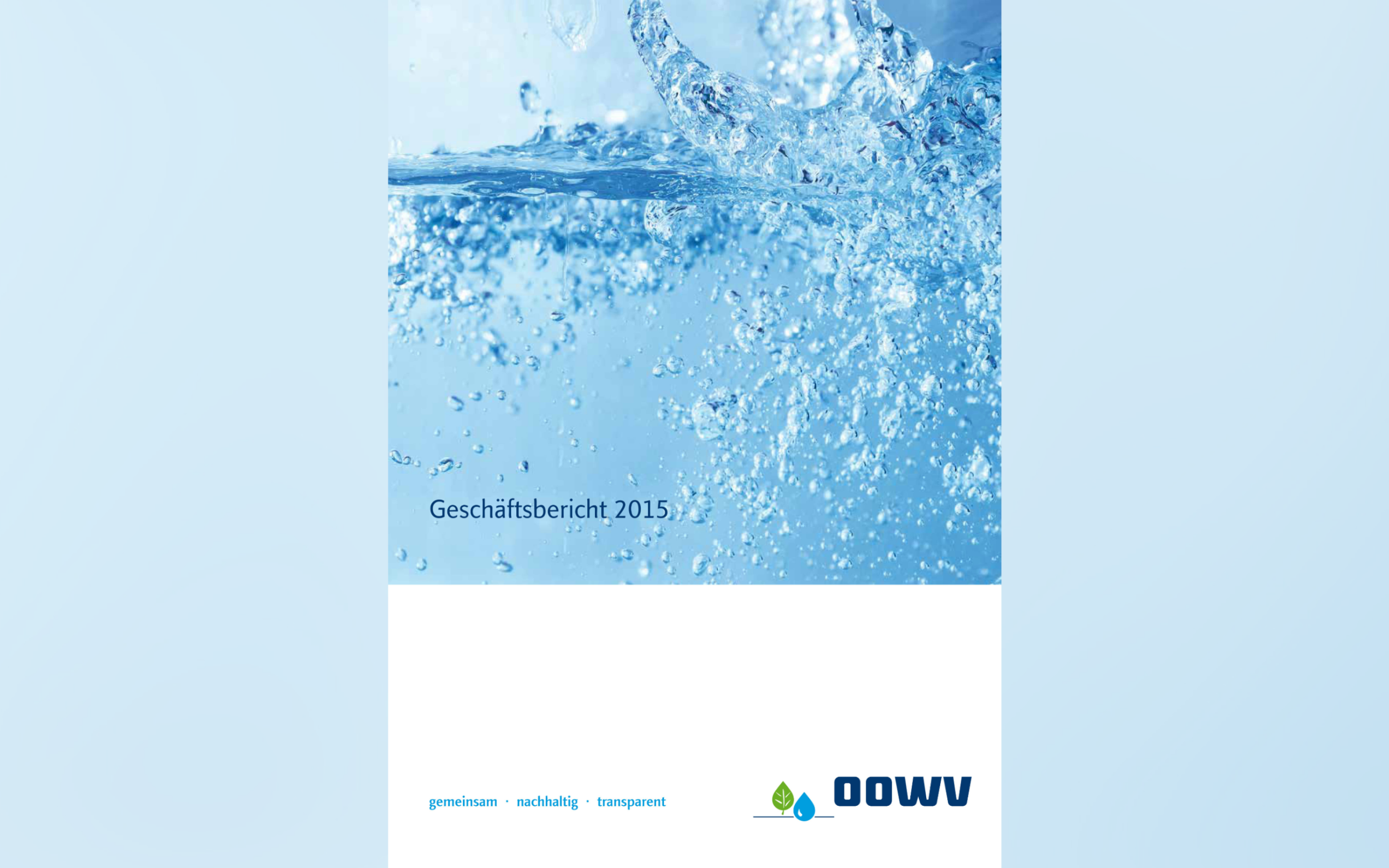 Geschäftsbericht 2015