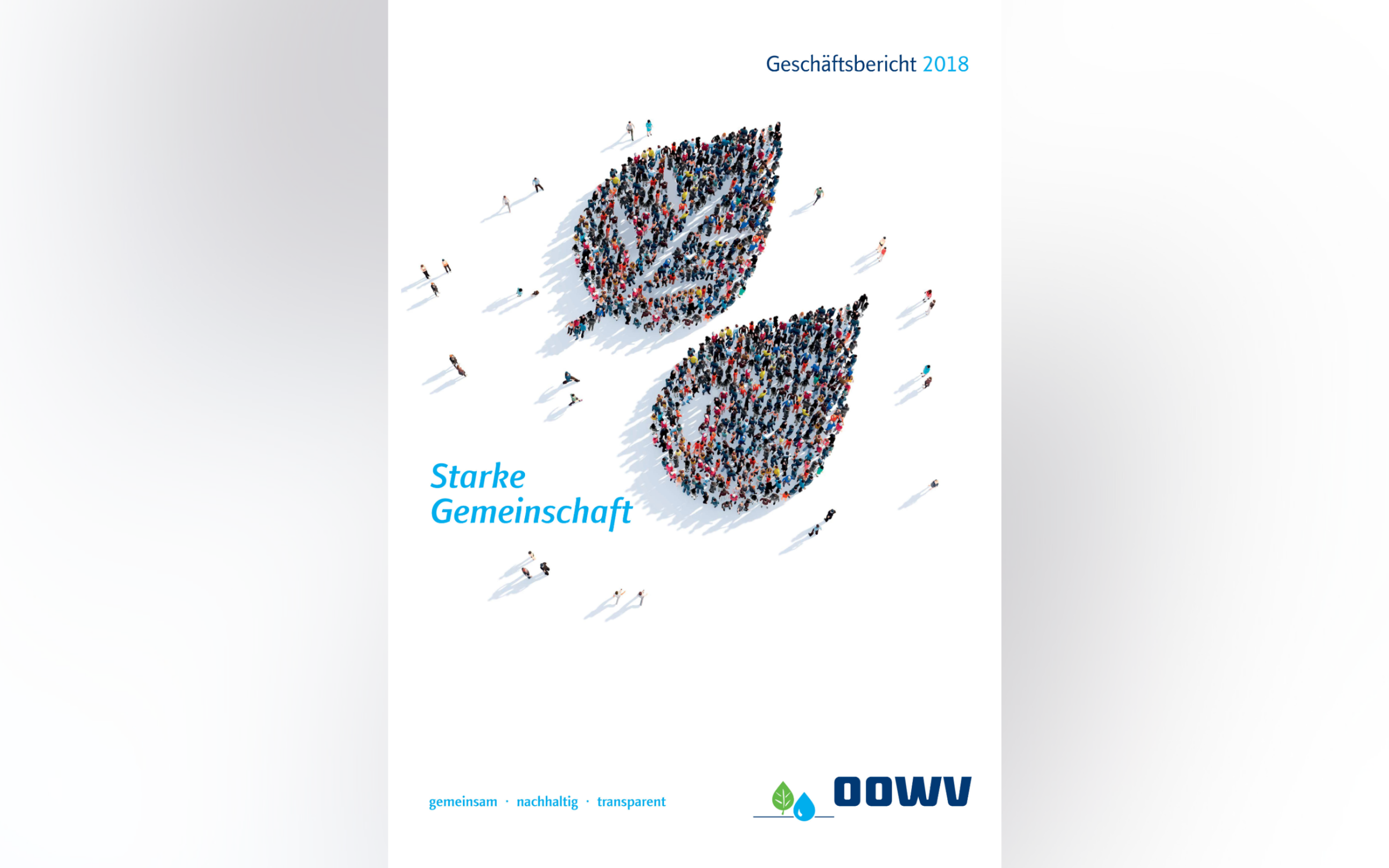 Geschäftsbericht 2018