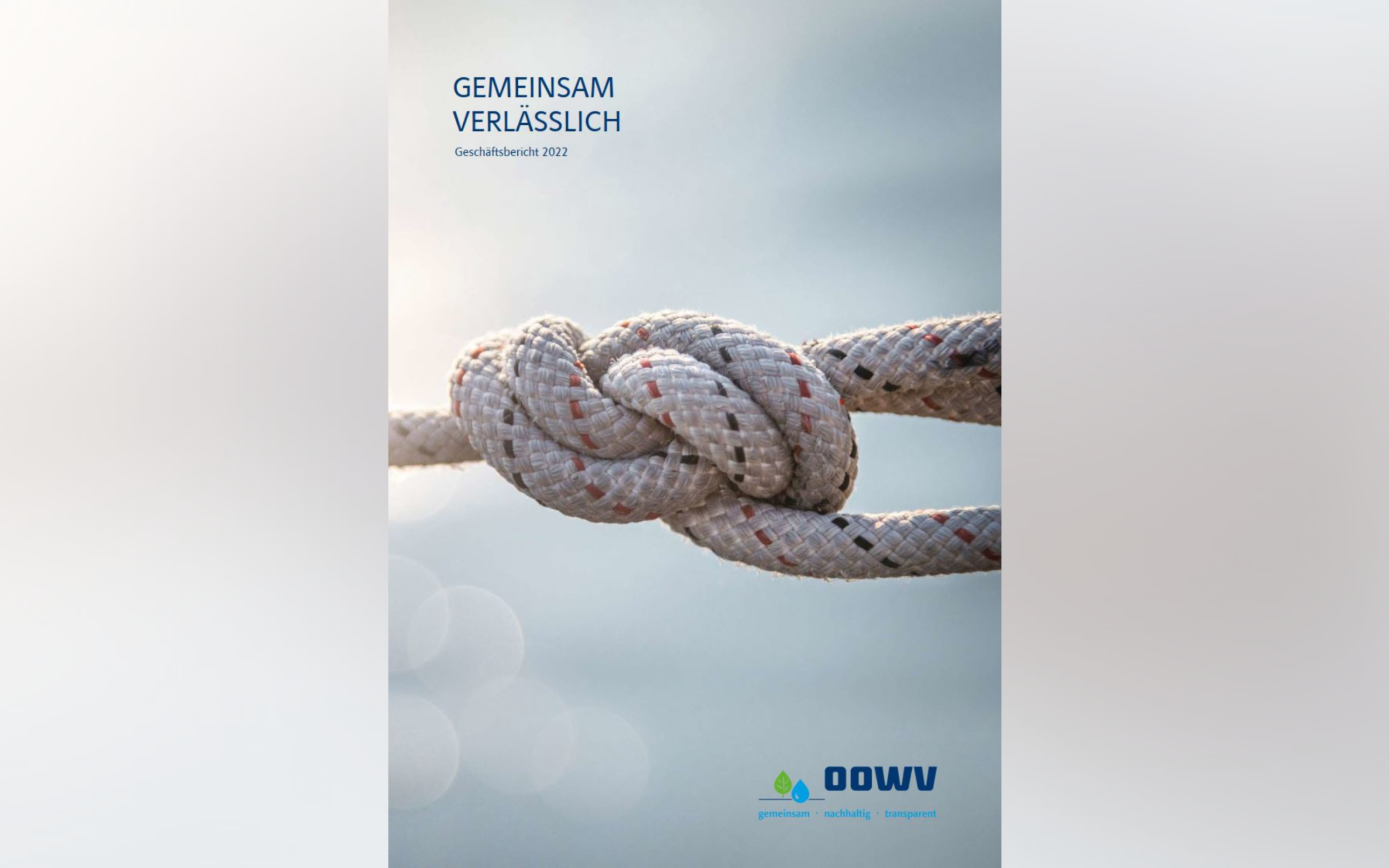 Geschäftsbericht 2022