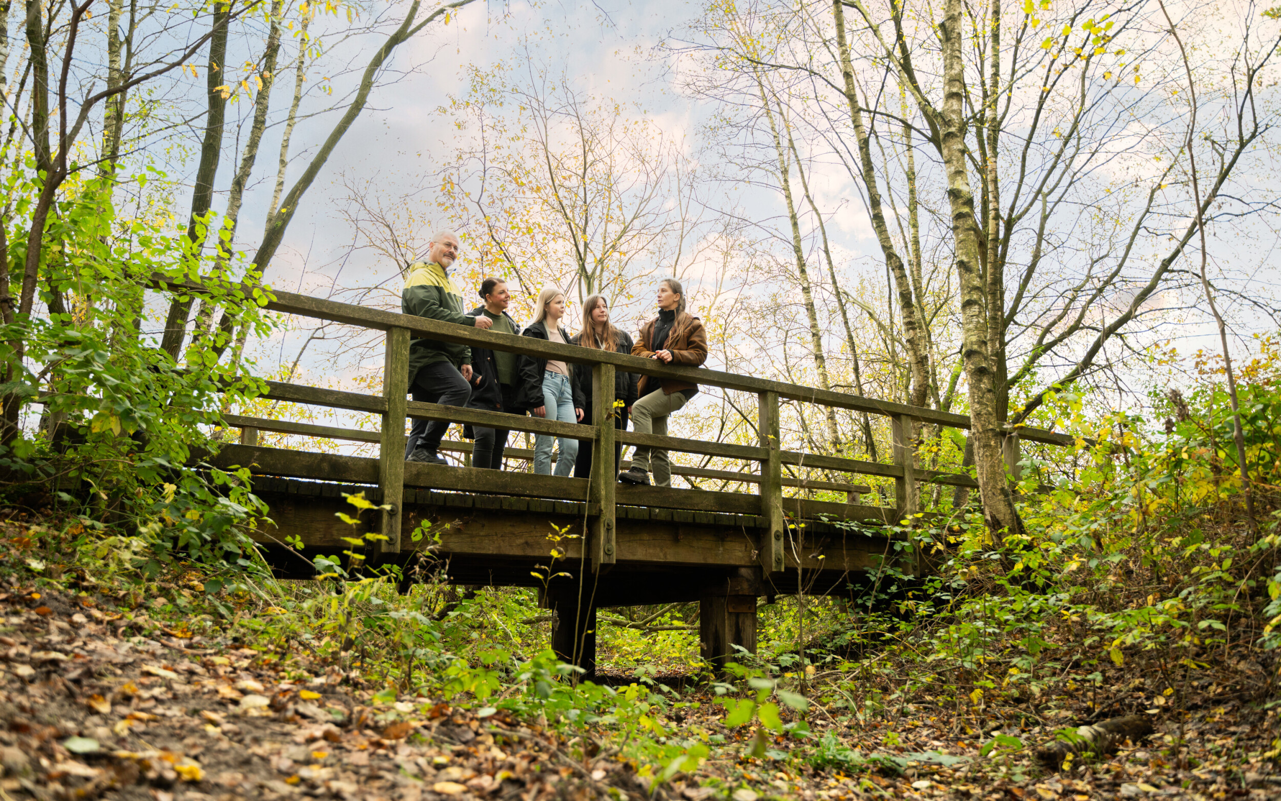 Steensforths Moor Brücke